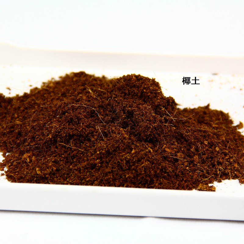 Coconut Soil Brick Reptile Sub - đánh giá và giá Substrate Coconut Fiber