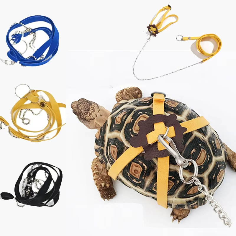 Turtle Traction Belt Control R - đánh giá và giá Water Dish Reptile