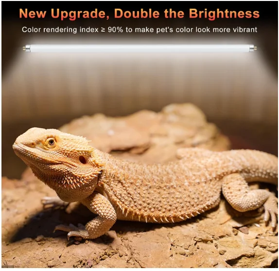 2 Pack 8W T5 UVB 10.0 Reptile  - đánh giá và giá Vitamin D3 Reptile