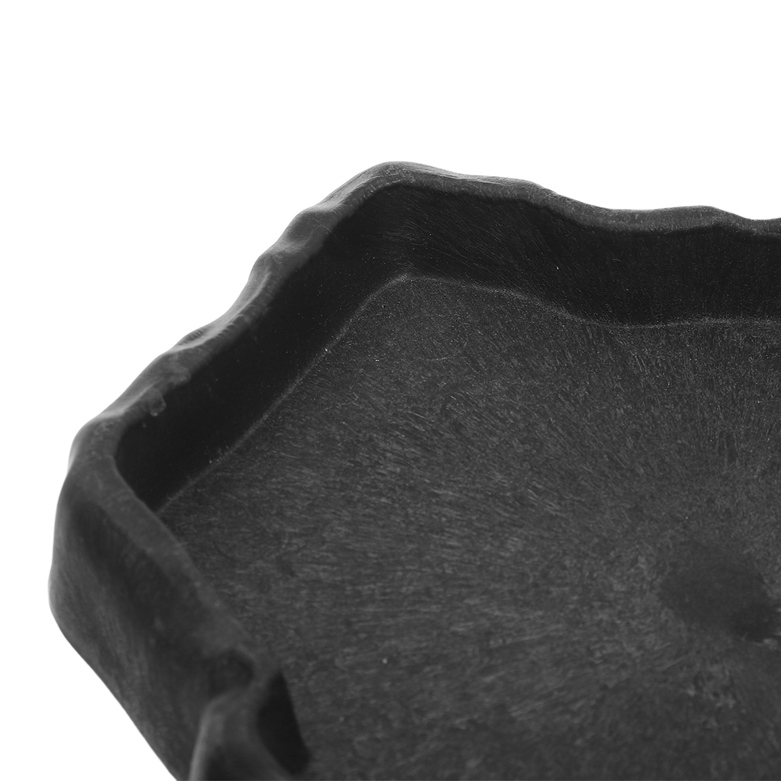 Reptile Feeder Bowl Natural Ro - đánh giá và giá Water Dish Reptile