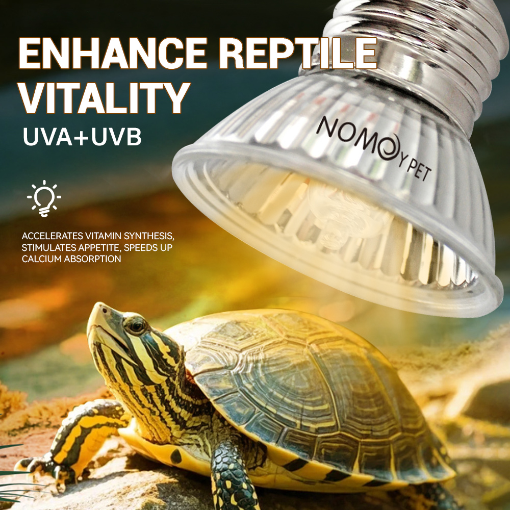Reptile UVA UVB 50W Lamp Vitam - đánh giá và giá Vitamin D3 Reptile