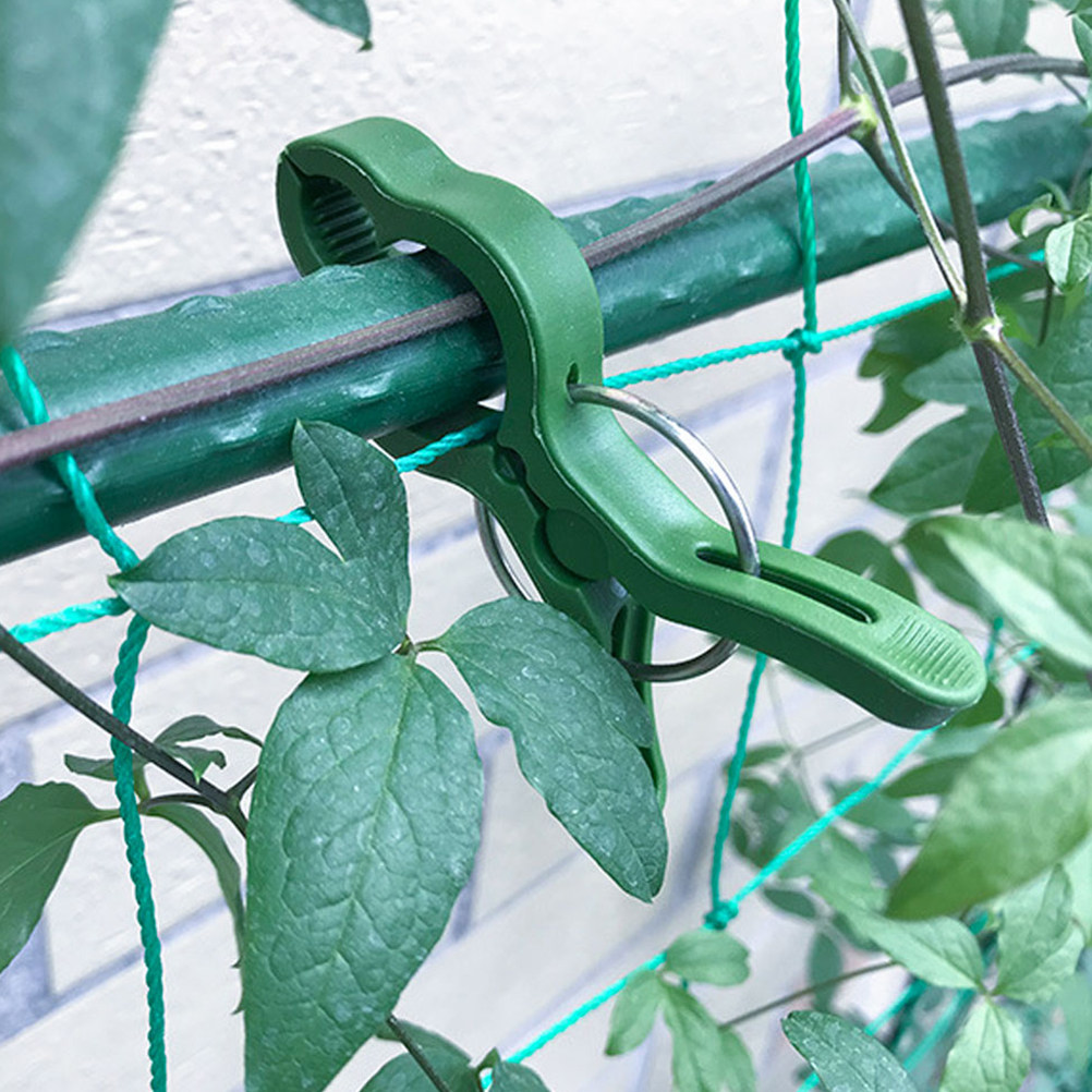 60Pcs Plant Support Clips for  - đánh giá và giá Vine Climbing Plastic