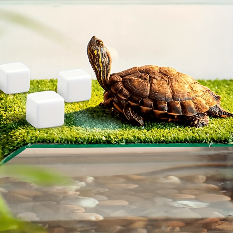 6 Pcs Fish Tank Calcium Block  - đánh giá và giá Calcium Powder Reptile