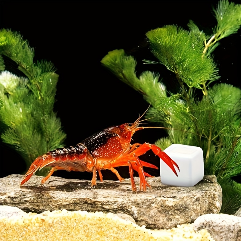 6 Pcs Fish Tank Calcium Block  - đánh giá và giá Calcium Powder Reptile